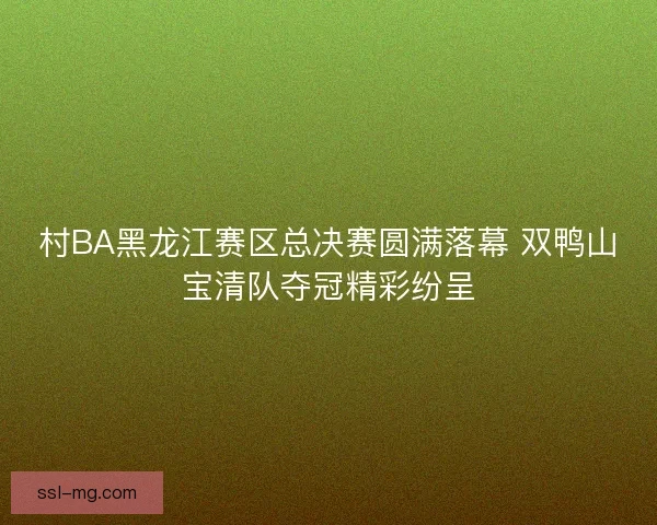 村BA黑龙江赛区总决赛圆满落幕 双鸭山宝清队夺冠精彩纷呈