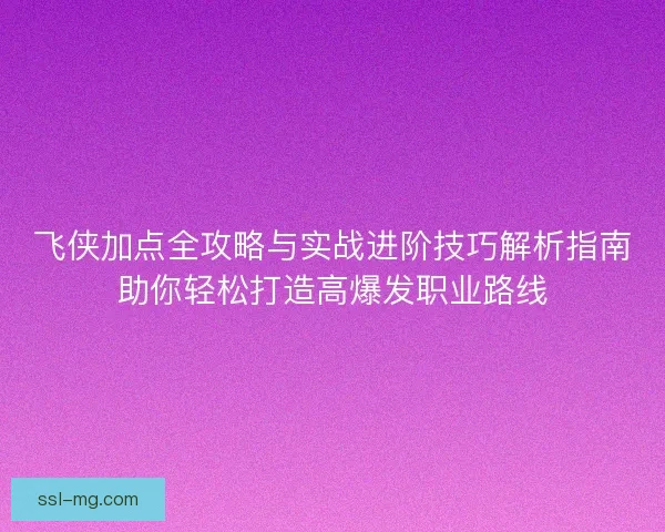 飞侠加点全攻略与实战进阶技巧解析指南助你轻松打造高爆发职业路线